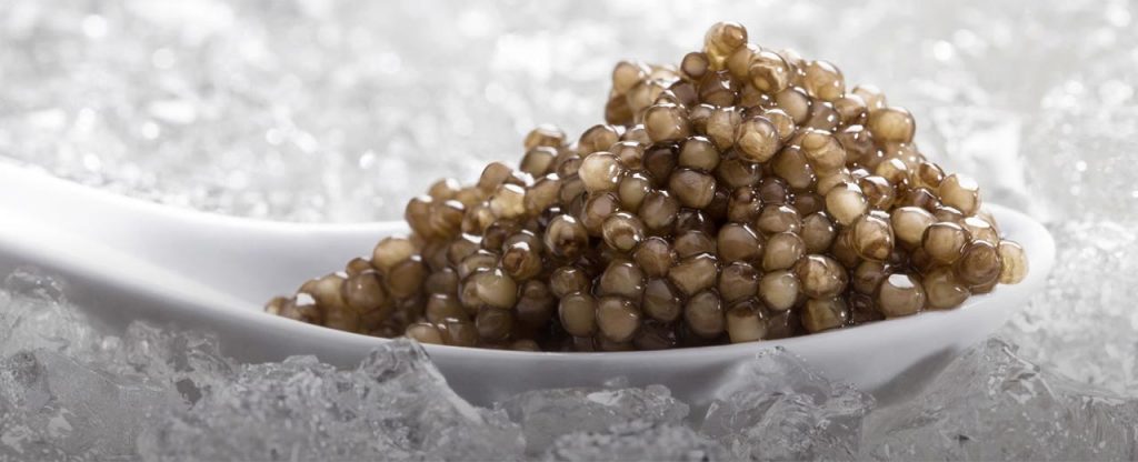 Black River Caviar Black River Caviar
