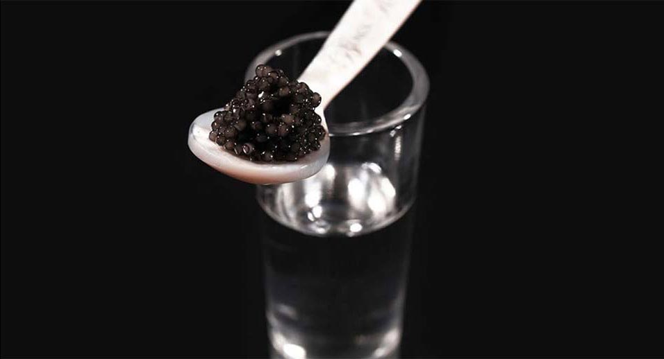 Caviar and a shot of vodka