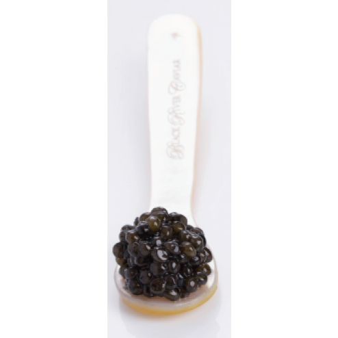 Russian Oscietra Caviar - Tradition Selection