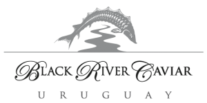 logo_URUGUAY-NEW-USE-THIS
