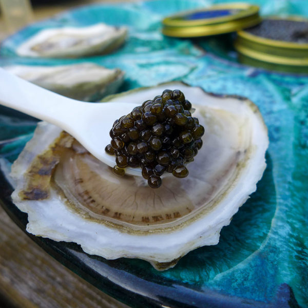 Valentines Caviar & Oysters