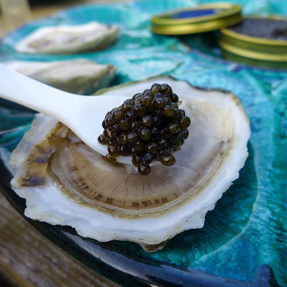 Valentines Caviar & Oysters