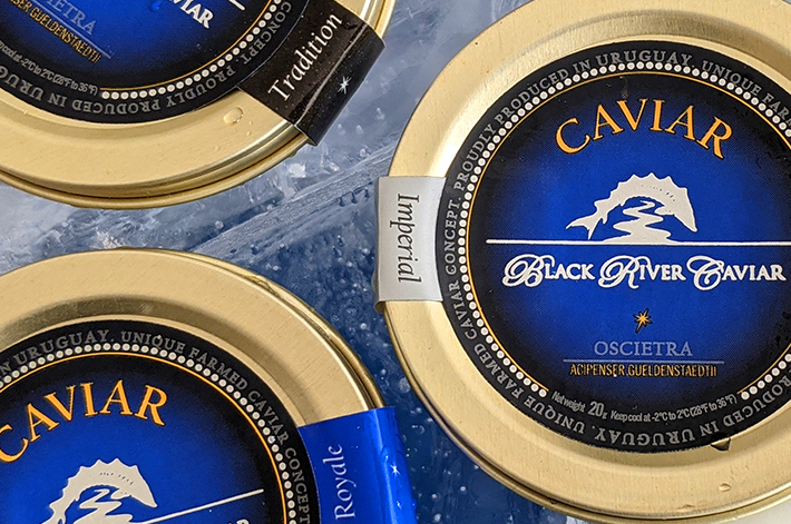 Black River Caviar Blue Trio