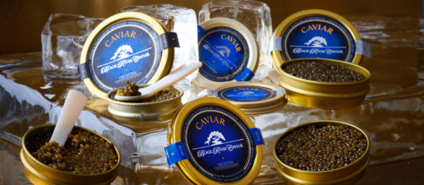 1K Caviar Club