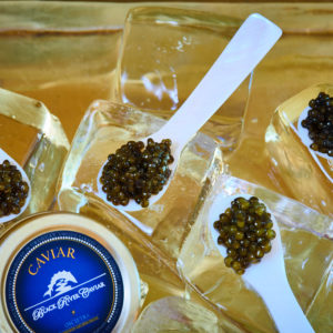 4x Caviar Club