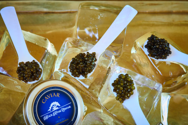 4x Caviar Club