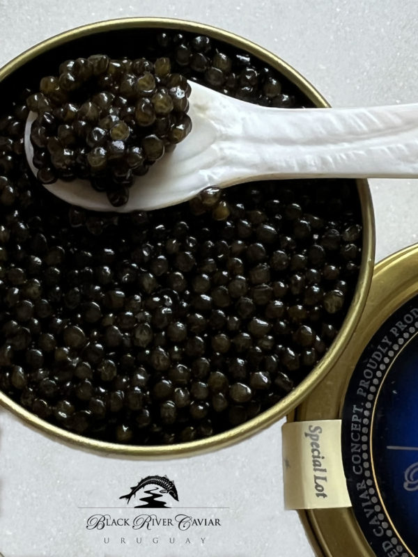 Black River Caviar Special Lot Oscietra - Image 4