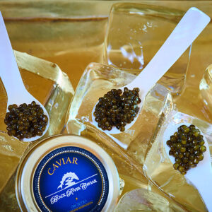 DIY Caviar Masterclass Kit