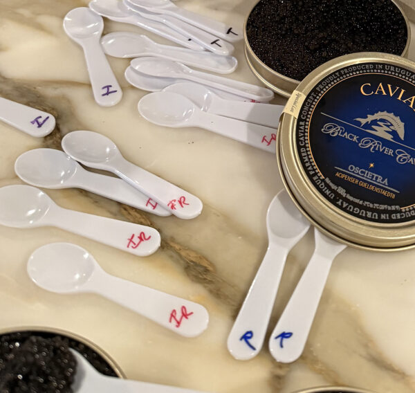 DIY Caviar Masterclass Kit