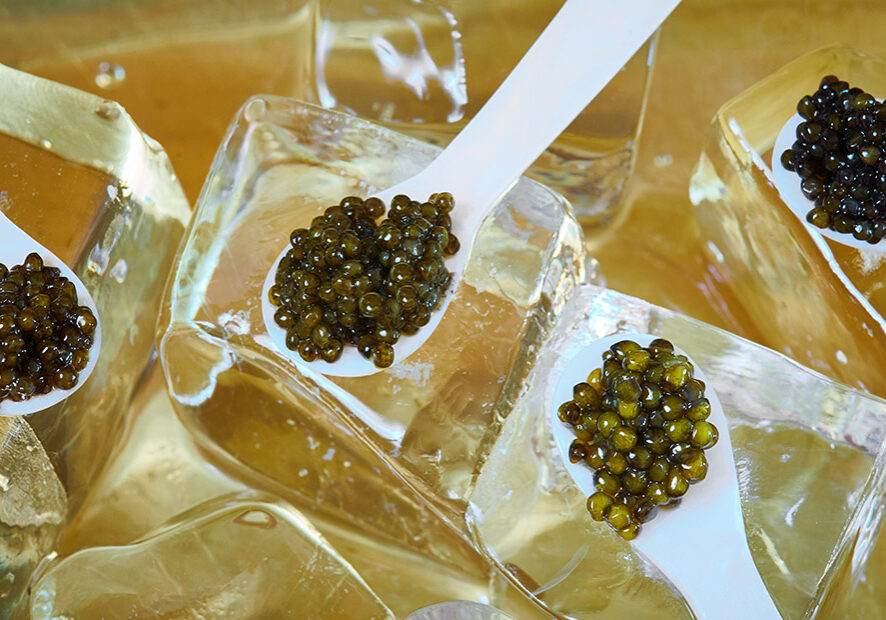 What Is Caviar?